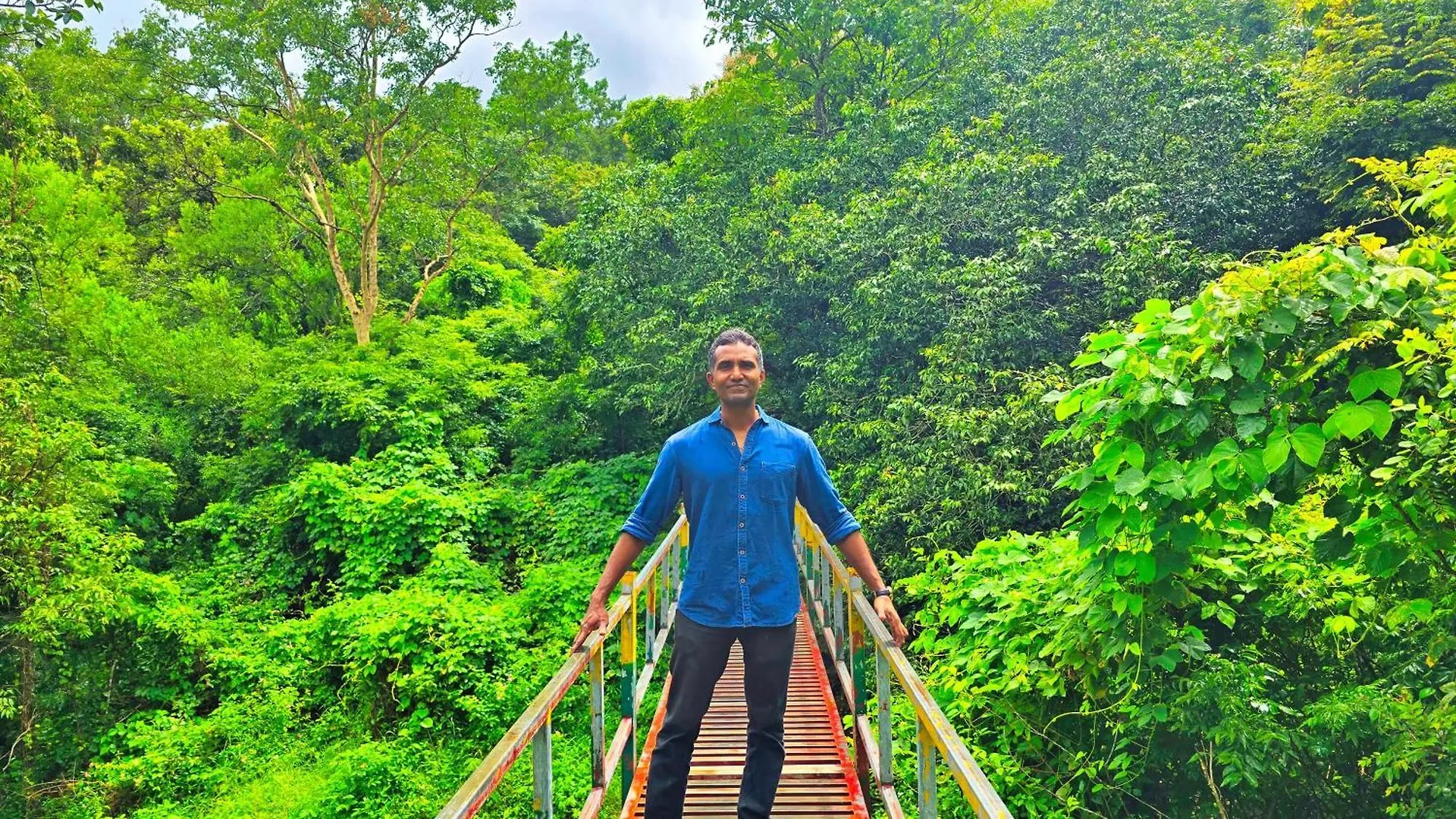 Bob Forest Stay Batheri India